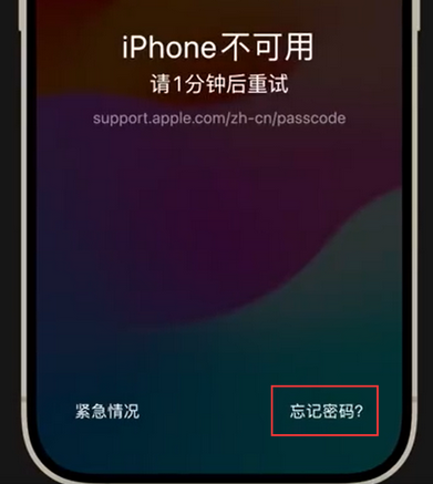晋中苹果手机密码维修分享iPhone忘记了刚设置的密码 