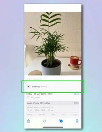 晋中苹果相机维修分享如何使用iPhone相机识别植物和花卉 